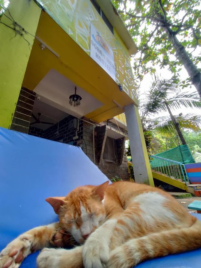 Goanvibes Hostel Andžuna Exteriér fotografie