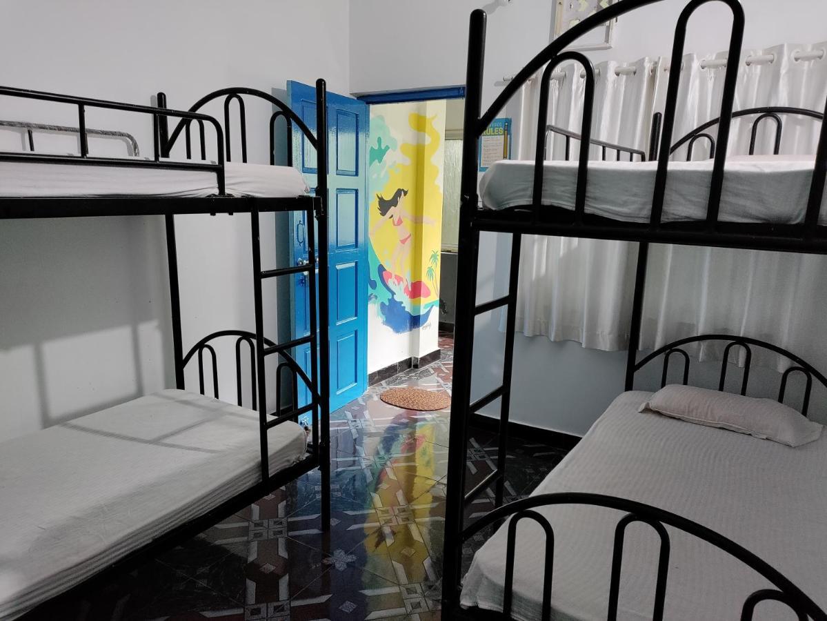 Goanvibes Hostel Andžuna Exteriér fotografie